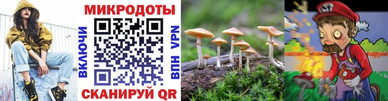 Псилоцибиновые грибы Psilocybine cubensis  где купить наркоту  kraken ССЫЛКА  Гаврилов-Ям 